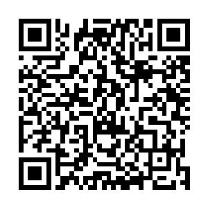 脑子里还在回想着昨天晚上在陆非凡的胸口睡着时的感觉二维码生成
