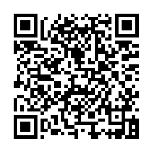 脑海中不停重复着朱雪竹那一句你是谁的冰冷之声二维码生成