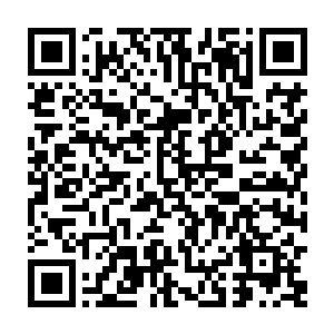 脑海中不由浮现出一大群体型缩小了无数倍的小怪兽围着自己玩耍的情景二维码生成