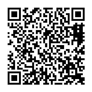 脑海中再次浮现出丁铃铛浑身是血从大炎龙雀支离破碎的灵府中爬出来的画面二维码生成
