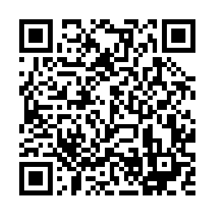 脑海中划过了一个极为荒谬的想法……小院下方卧室二维码生成