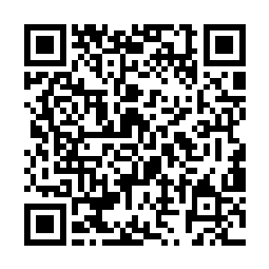 脑海中却像放电影一般的浮现出各种各样的生物相貌二维码生成