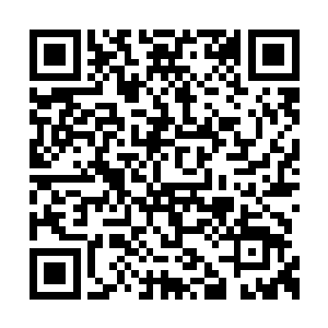 脑海中却是大片大片淫秽不堪的画面在飘来飘去二维码生成