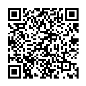 脑海中却自然而然出现了这些年那些门派不断被灭门的情况二维码生成