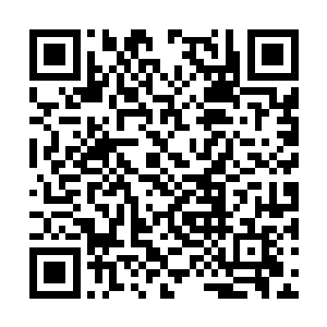 脑海中拥有江山如故这个仙蛊方的可能性微乎其微二维码生成