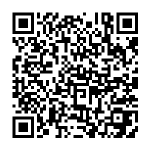 脑海中最终定格的画面是自己独自坐在天台圆木上抱着酒坛看晚霞渲染了半边天二维码生成