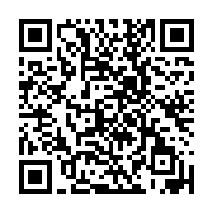 脑海中浮现出一个脸颊上盛开着白色优昙花的少年二维码生成