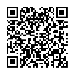 脑海中浮现出了昨日不小心抓住那一团巨大的一幕二维码生成