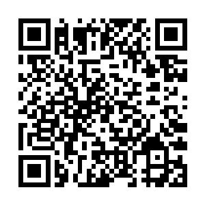 脑海中浮现的是当初在东华总镇府山下庄园时的情形二维码生成