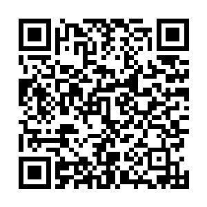 脑海中的画面却是以每秒钟跨越数百年乃至上千年的速度二维码生成
