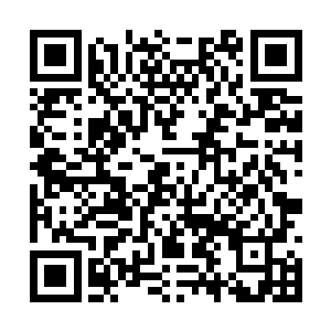 脑海中瞬间出现的身影与面前的夜修文重合在一起二维码生成