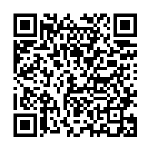 脑海中瞬间想起自己在炼制金翅丹的时候用的四品灵宝二维码生成