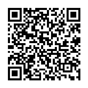 脑海中闪过无数鬼兰度劫当日的遮天巨手压下的画面二维码生成