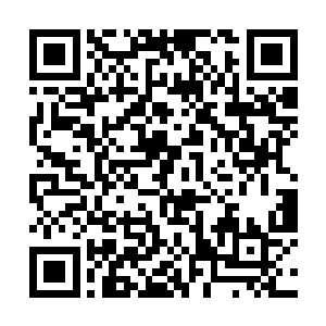 脑海之中不断的推敲着刀光雷影种种变通之后的景象二维码生成