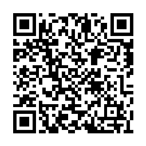 脑海之中已经开始构思以这天音宝盒为阵法枢纽二维码生成
