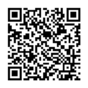 脑海却在回忆暴乱大陆什么时候出现在这么一个人物二维码生成