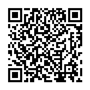 脑海里已经开始幻想自己穿着道袍拿着符纸到处跑的模样二维码生成