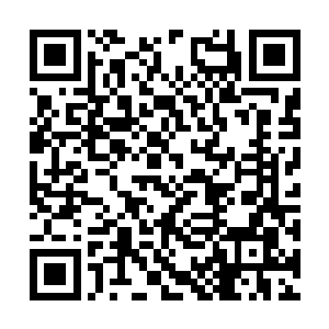 脑海里残忍的浮现了一个月前度假村里的那个早上二维码生成