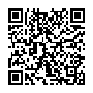 脑海里油然浮现当初真妙与自己对练时选择的战略二维码生成