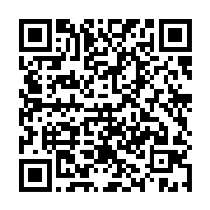 脑电波涟漪的味道你们确定自己没有被饕餮病毒感染吗二维码生成