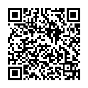 脑筋急转意识到是分身元神中的腐符尸气封印球在作怪二维码生成