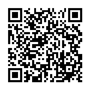 脑袋中隐隐约约浮现出另外一张早已经消逝的面孔二维码生成