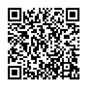 脑袋光亮的鬼王萧腾看上去心情显得十分的畅快二维码生成