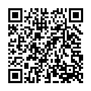 脑袋还晕晕沉沉地没有状态――我觉得我很努力二维码生成