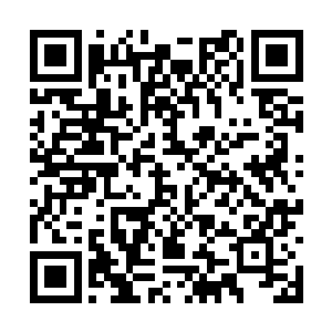 脖子上传来的冰冷触觉让他停止了这种愚蠢的做法二维码生成