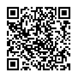 脖子上系着一条白色丝巾的闻人牧月给人一种更加冷艳的感觉二维码生成
