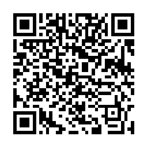 脖子间的一大片区域直接就给多因果互噬卷了进去二维码生成