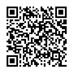脚下一道道阵法的气息保护着地面没有被冲刷出去二维码生成