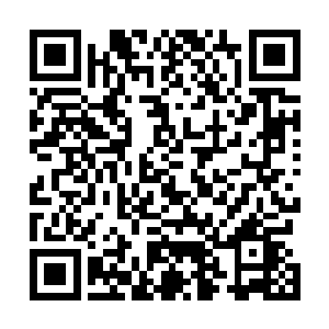 脚下以敏捷到与体型不符的速度不停闪过木人刺来的长剑二维码生成