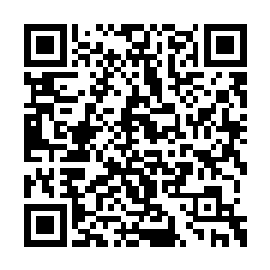 脚下则是无边大地在唐劫的恐怖下发出呻吟之声二维码生成