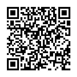 脚下是奔腾的大江……她感受不到这个世界的一丝丝暖意二维码生成