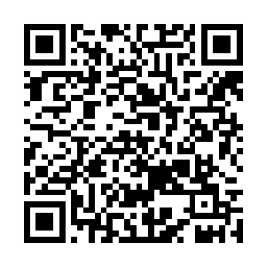 脚下的大树便被刘飞虎的双刀给拦腰劈成了好几段二维码生成