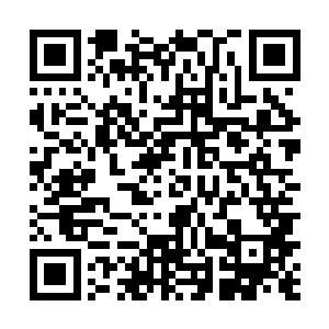 脚下这片大地也是他的……他就要成为这个世界的主宰二维码生成