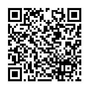 脚步在身后的墙面一踩顿时便极其轻松的跃了过去二维码生成