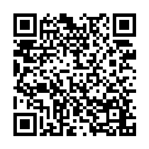 脸上不时的挂着善意的微笑都让龙傲天十分的舒服二维码生成