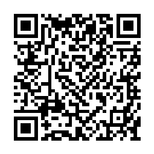 脸上不由得再一次的微微露出了一丝诧异的神色二维码生成