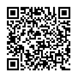 脸上再也忍不住的露出了一丝激动的神色的握紧了小拳头二维码生成