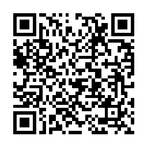 脸上却是同样一副感激到了骨子里的诚惶诚恐模样二维码生成