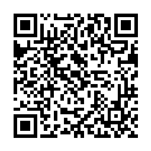 脸上已经涂满了油彩的高扬才从他的办公室里走出来二维码生成