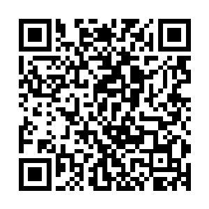 脸上带着一种几乎虔诚的表情一排排的走到湖堤上慢慢的跪下二维码生成