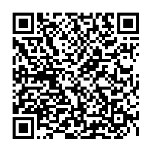 脸上带着无比恳切的神色地拦在已经准备走人的萧易和马先生两人的面前二维码生成
