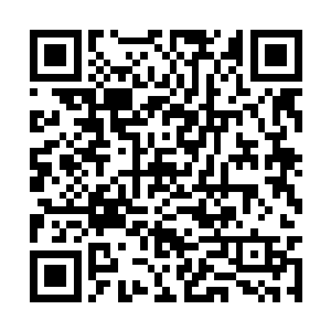 脸上满是不敢置信的神色地望向了前面那个黑衣人二维码生成