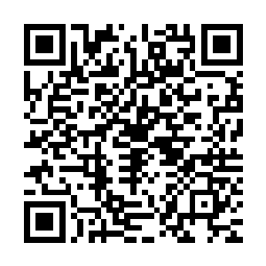 脸上的神色即便夭华几日前在木屋怀疑他也远没有现在这么失望二维码生成