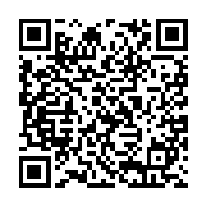 脸上的粉擦得不够厚的地方都能看到淡淡的红血丝二维码生成
