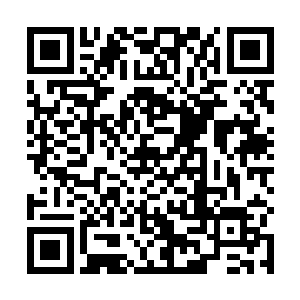 脸上精艘到几乎没什么肉一看就是不太好打交道的样子二维码生成