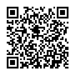 脸上那明亮的笑容带着与她年龄不符的沉稳和大气二维码生成